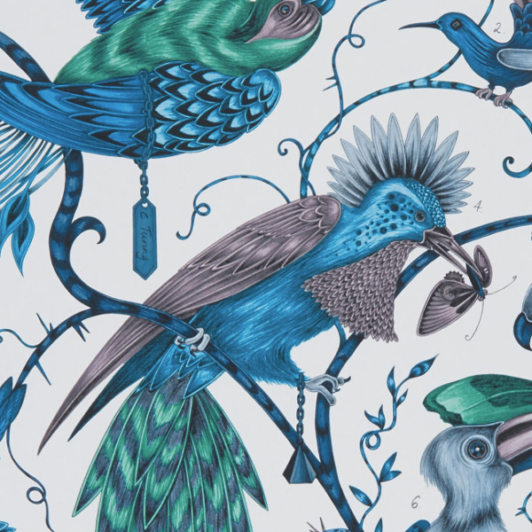 Audubon papier peint revêtement mural intissé lavable pas cher, motif oiseaux exotiques jungle tropicale de Clarke & Clarke vendu par la rime des matieres, bon plan papier peint