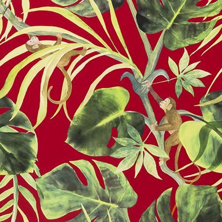 monkey business papier peint revêtement mural intissé lavable motif tropical fantaisie  de clarke & clarke vendu par la rime des matieres