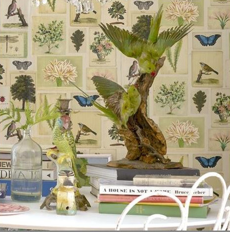 Flora et fauna papier peint revtement mural intiss non feu fantaisie lavable de Designers Guild John Derian, pour salon, pice  vivre, entre et chambre, vendu par la rime des matieres, bon plan papier peint