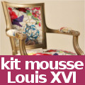 kit mousse haute résilience pour refaire et tapisser fauteuil Louis XVI jacob ou médaillon - frais de port offerts