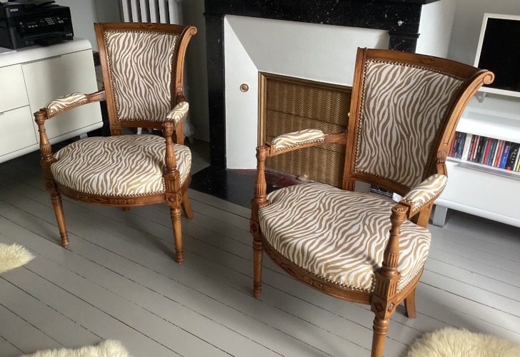 paire de fauteuils et tissu BONAO imitation zebre color�, tissu vendu par la rime des matieres, bon plan tissu ameublement et frais de port offerts