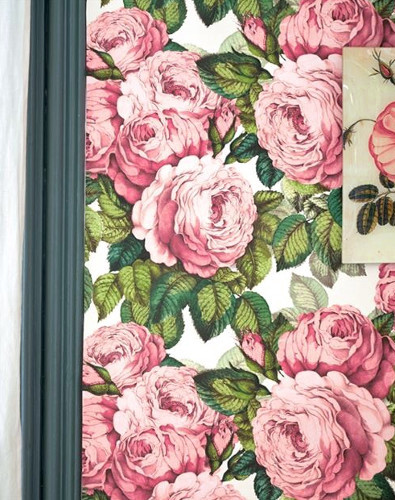 Rose papier peint revêtement mural intissé non feu floral fantaisie lavable de Designers Guild John Derian, pour salon, pièce à vivre, entrée et chambre, vendu par la rime des matieres, bon plan papier peint