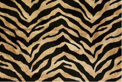  tissu d'ameublement Africa velours imitation peau de zèbre de Casal pour chaise, fauteuil, canapé et coussins,  vendu par la rime des matieres, bon plan tissu