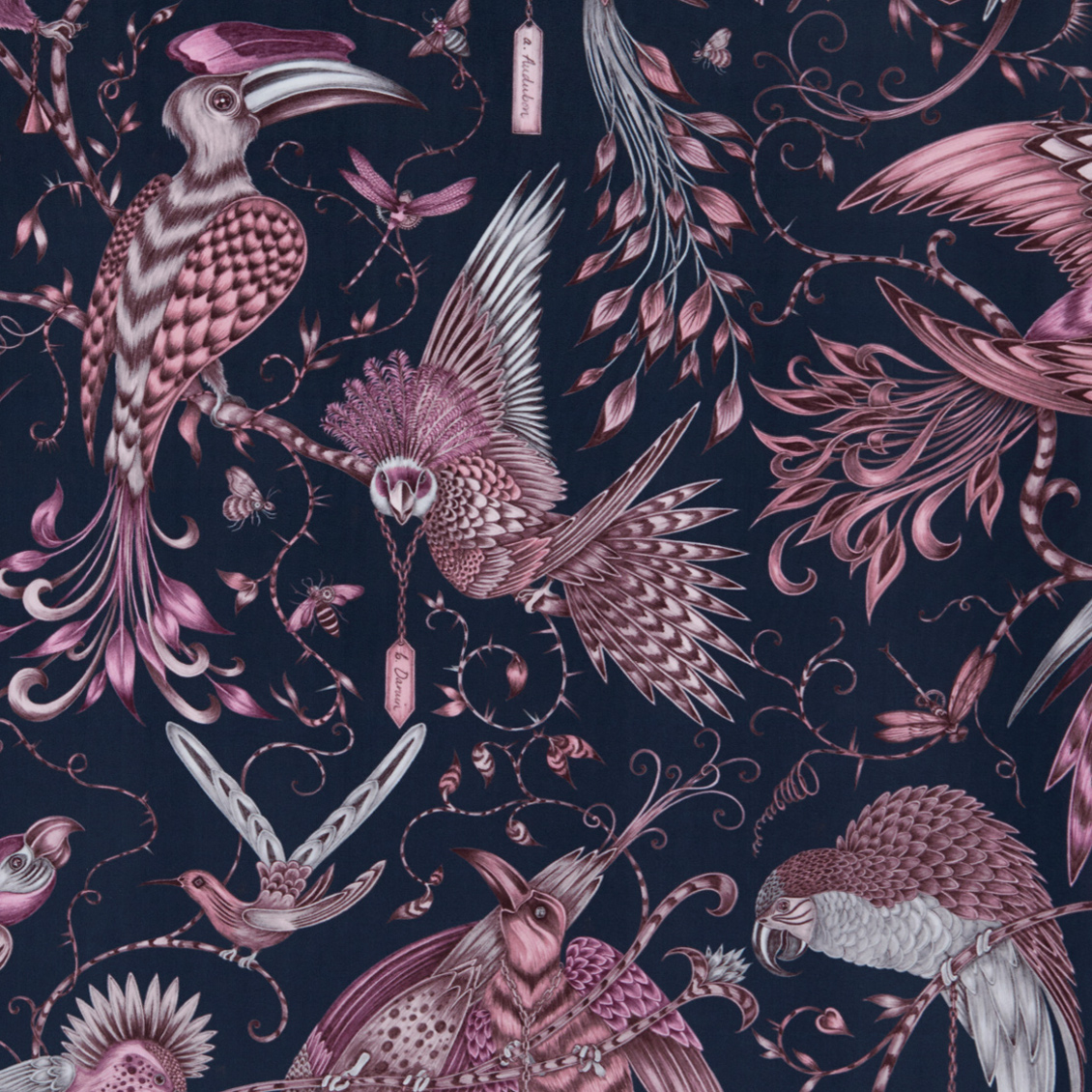 Audubon velvet tissu ameublement velours lavable imprimé animalier tropical de Clarke & Clarke pour chaise fauteuil canapé rideau et jetés de lit vendu par la rime des matieres bon plan tissu