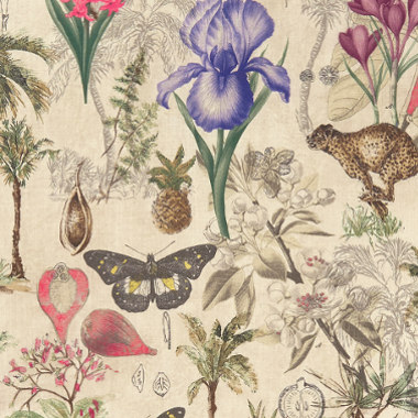 tissu ameublement Botany design floral végétal animal, de Clarke & Clarke, pour chaise, fauteuil, canapé, rideaux et coussins, vendu par la rime des matieres, bon plan tissu