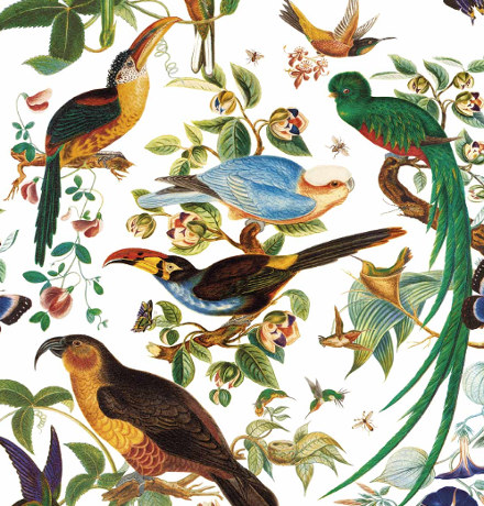 tissu ameublement Oaxaca coton design oiseaux tropicaux, de Gaston y Daniela, pour chaise, fauteuil, canapé, rideaux et coussins, vendu par la rime des matieres bon plan tissu et frais de port offerts