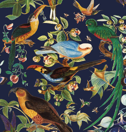 tissu ameublement Oaxaca coton design oiseaux tropicaux, de Gaston y Daniela, pour chaise, fauteuil, canapé, rideaux et coussins, vendu par la rime des matieres bon plan tissu et frais de port offerts