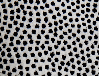 Escale tissu ameublement imprim  de Jean Paul Gaultier pour rideau, fauteuil, canap et coussins,vendu par la rime des matieres