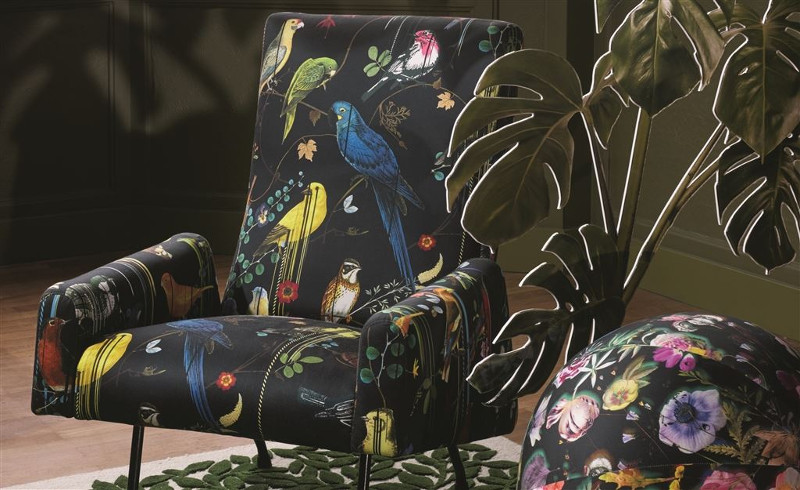 birds sinfonia tissu ameublement lavable motif oiseaux de christian lacroix pour chaise, fauteul, canapé et rideaux, vendu par la rime des matieres bon plan tissu