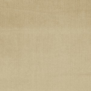tissu Velour uni glamour doux et lavable, de Prestigious Textiles, pour chaise, fauteuil, canapé, tête de lit, stores, rideau et coussin, vendu par la rime des matieres, bon plan tissu et frais de port offerts